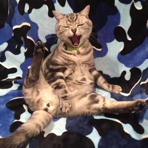 Meet your Posher, Maggie